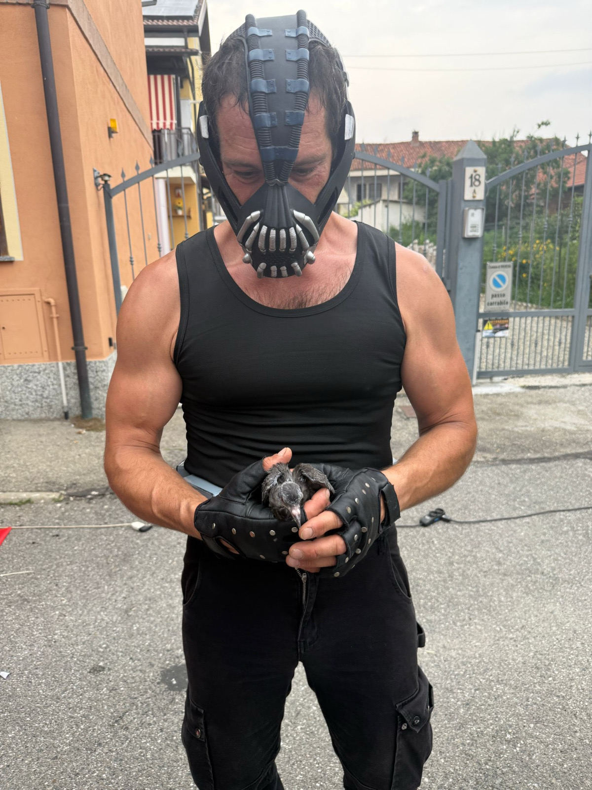 Foto di Erik Trimarchi